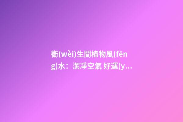 衛(wèi)生間植物風(fēng)水：潔凈空氣 好運(yùn)氣